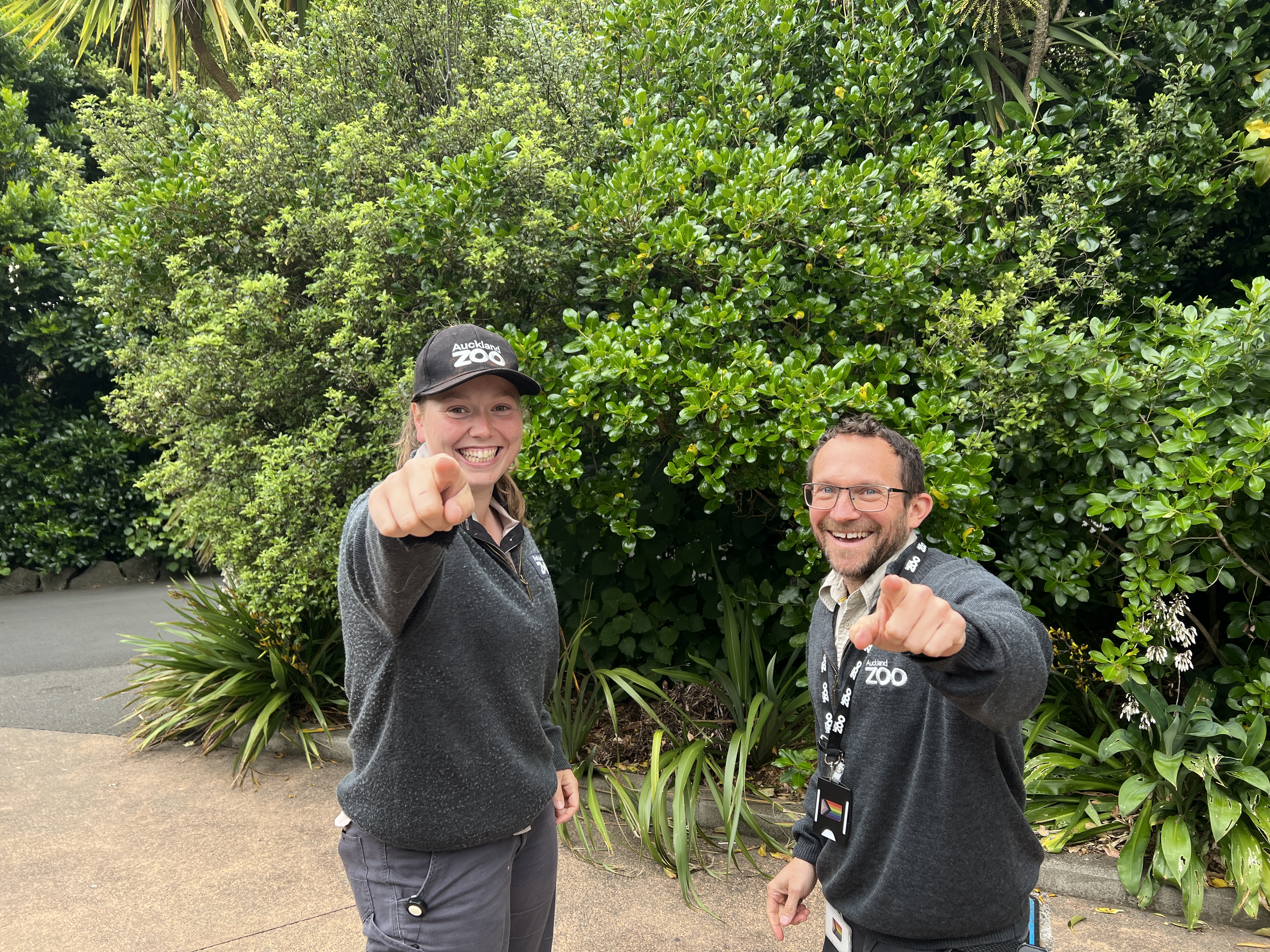 Wild Wednesday webinars