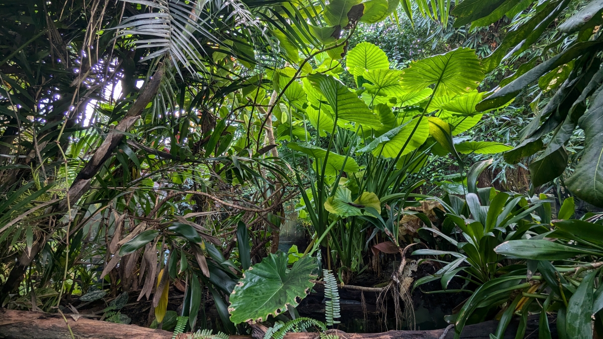 Protecting Global Biodiversity - Enhanced